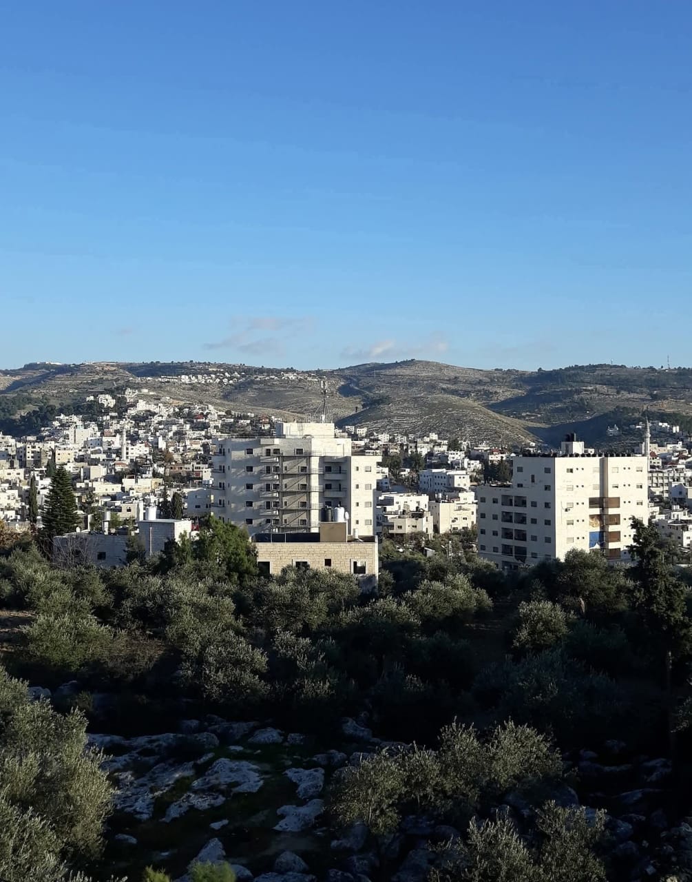الخليل | موسوعة القرى الفلسطينية الخليل | موسوعة القرى الفلسطينية